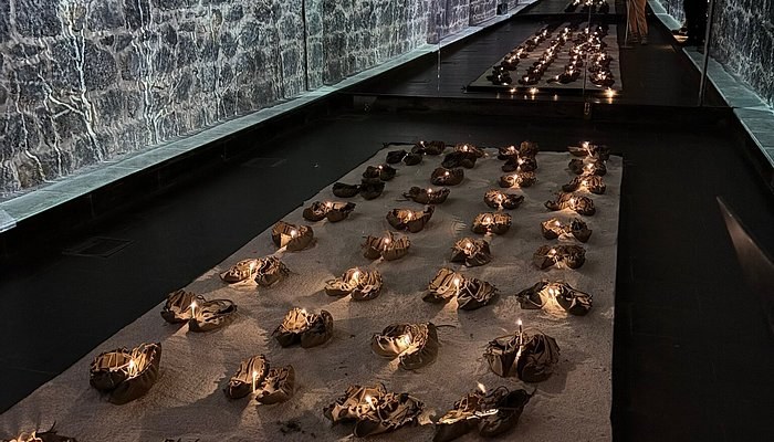 Kafkas Cephesi Harp Tarihi Muzesi