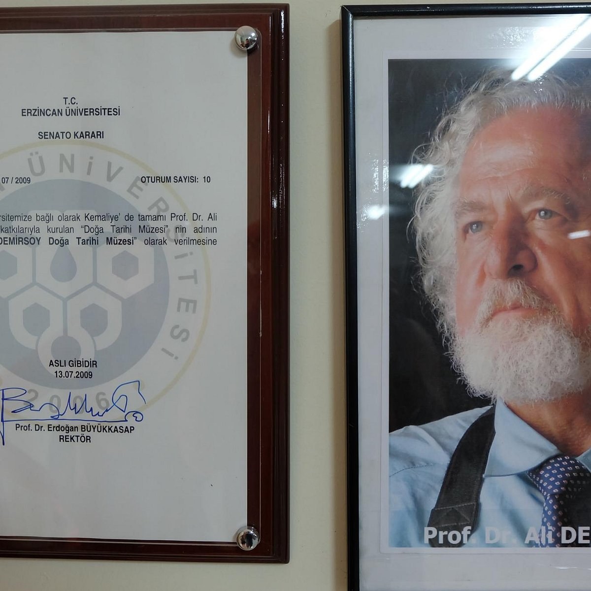 Ali Demirsoy Doga Tarihi Muzesi photo 5