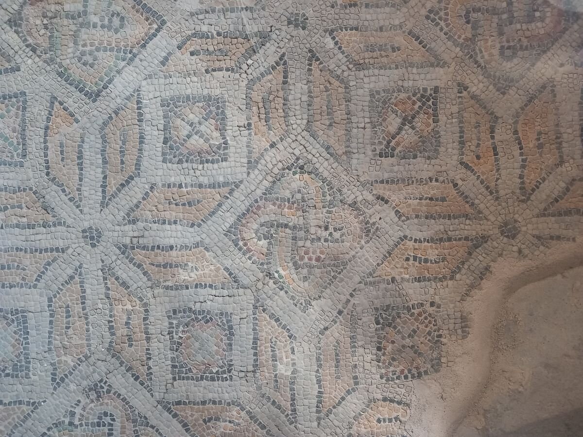 Zeytinburnu mozaik müzesi photo 6