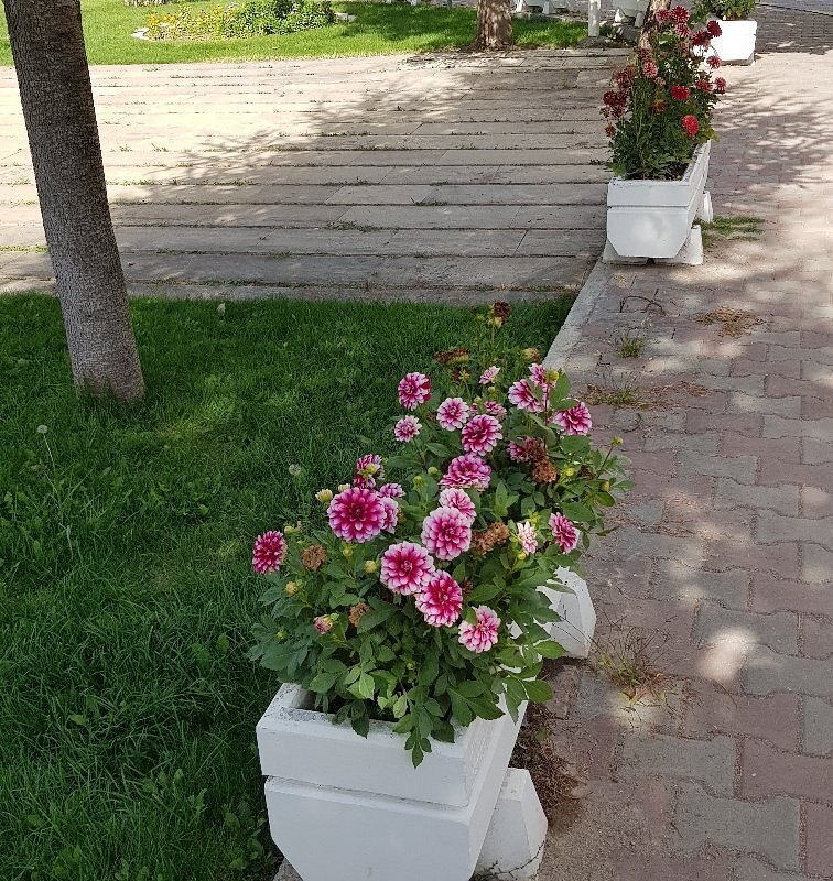 MKE Sanayi ve Teknoloji Muzesi photo 4