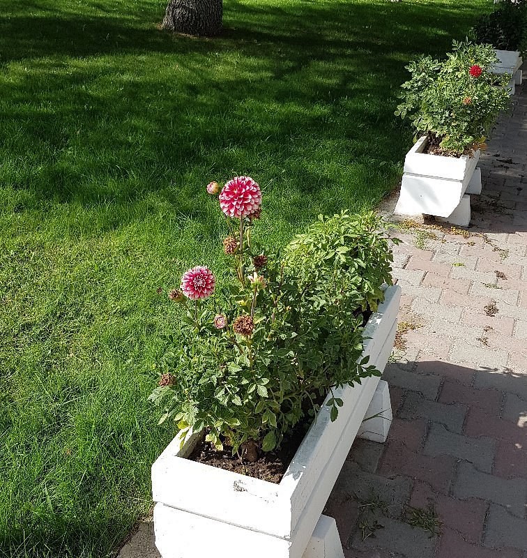 MKE Sanayi ve Teknoloji Muzesi photo 6