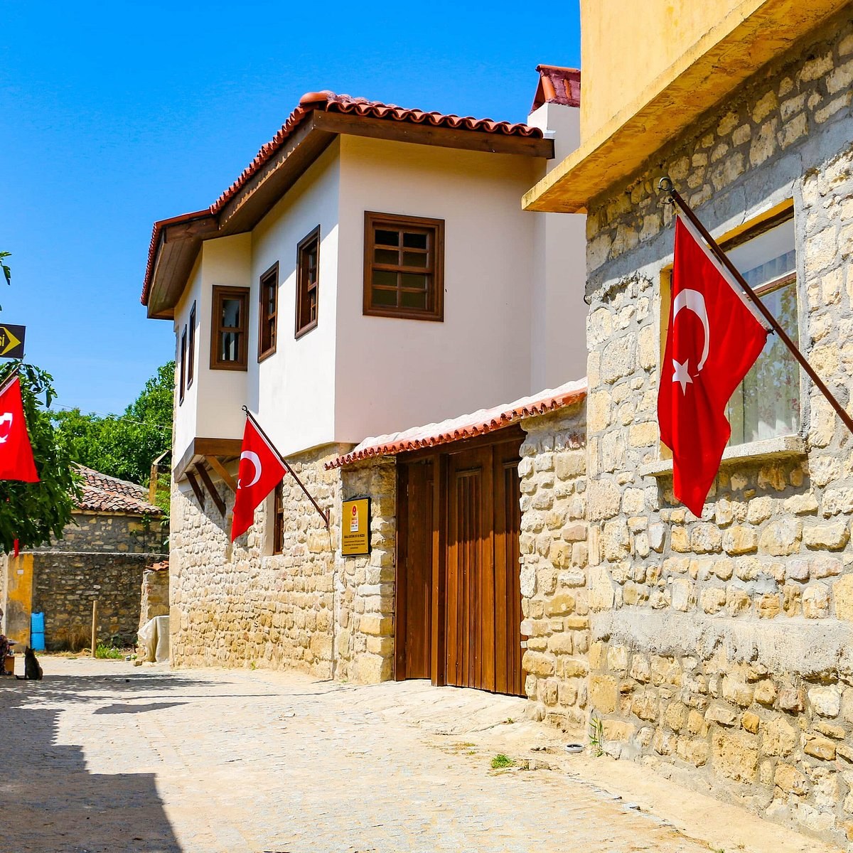 Bigali Ataturk House and Museum photo 5