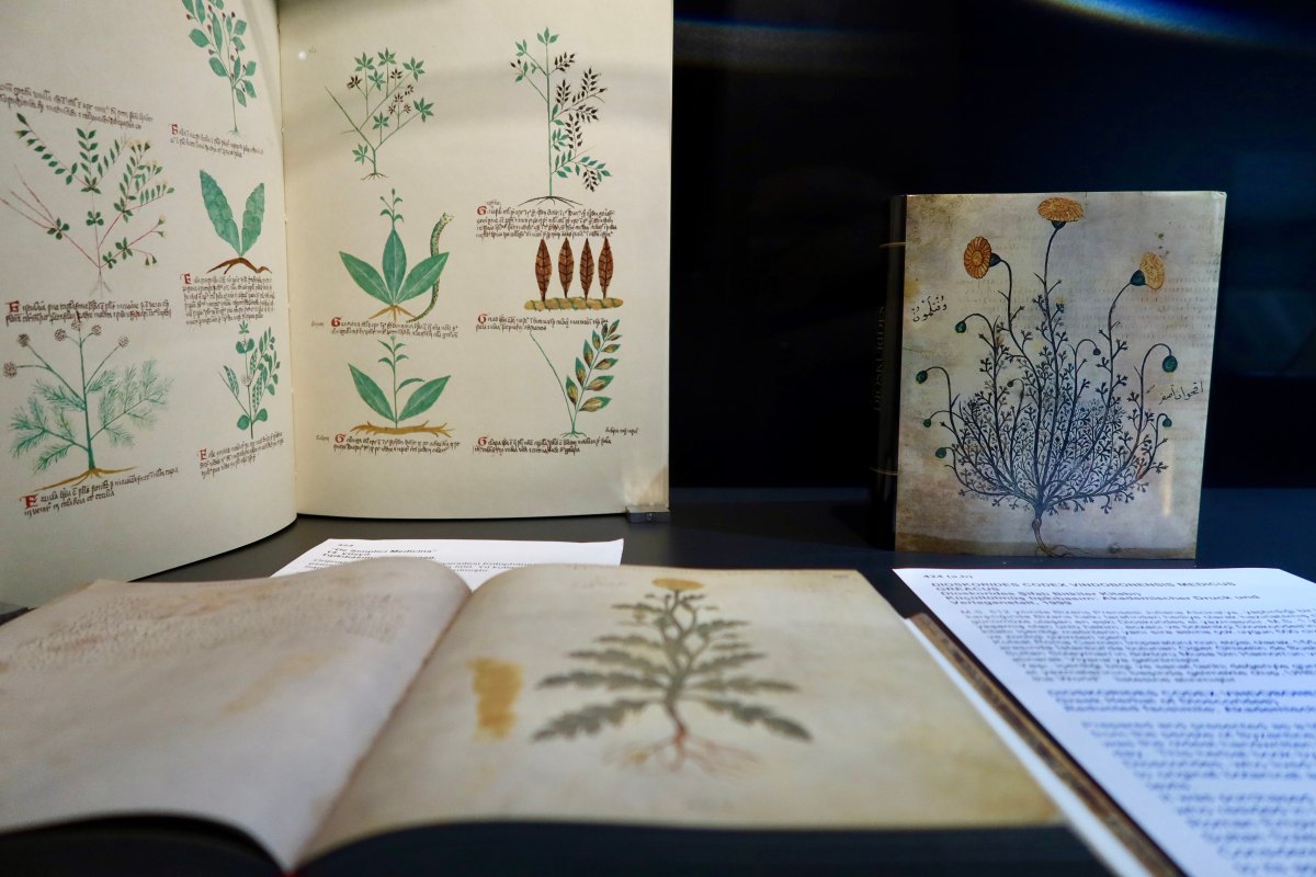 Ege University Paper and Book Arts Museum photo 3