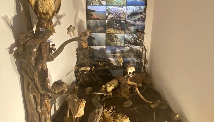 Tarihi Doğanbey köyü müzesi photo 2