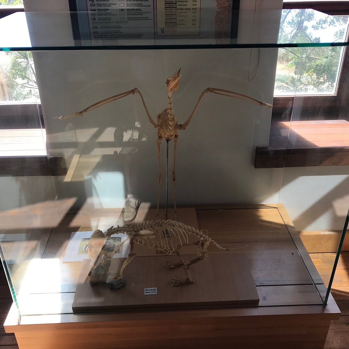 Tarihi Doğanbey köyü müzesi photo 6