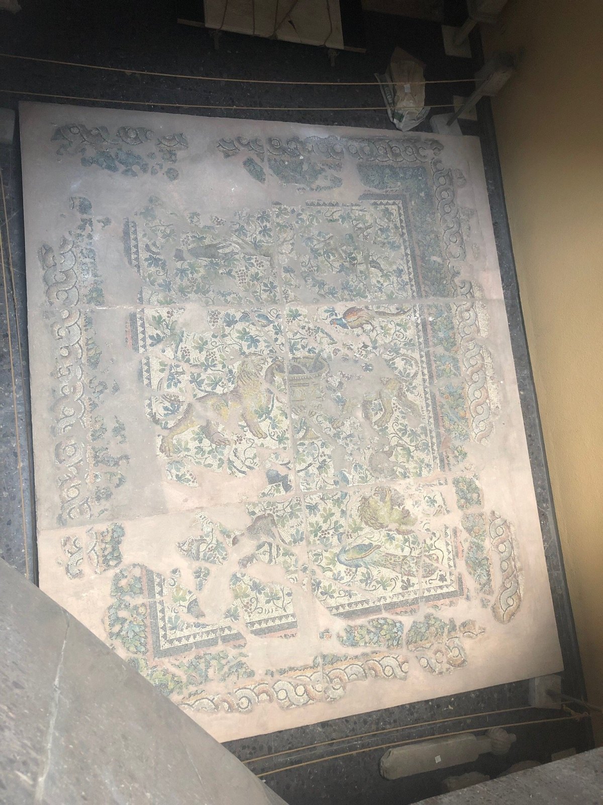 Ethnography Museum photo 5