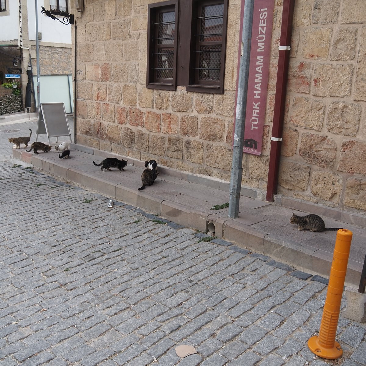 Turkish Hamam Museum photo 7