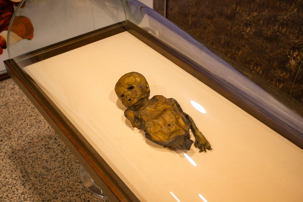 Amasya Museum photo 3