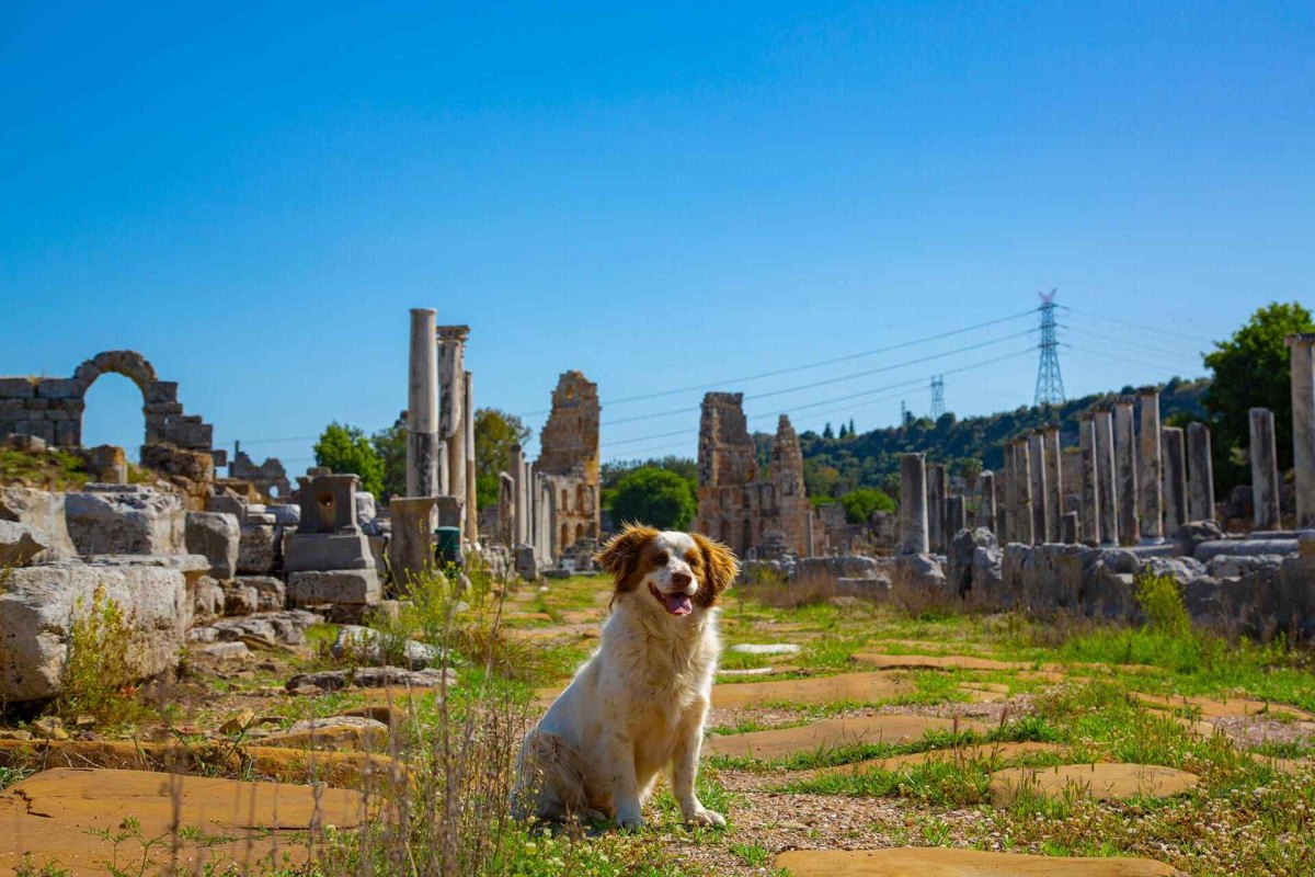 Antalya Perge Archaeological Site