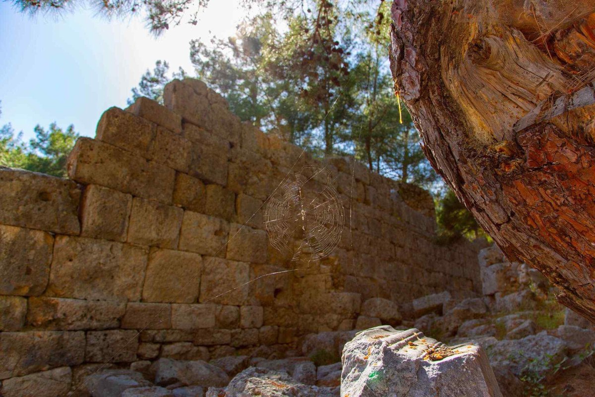 Antalya Phaselis Archaeological Site photo 7
