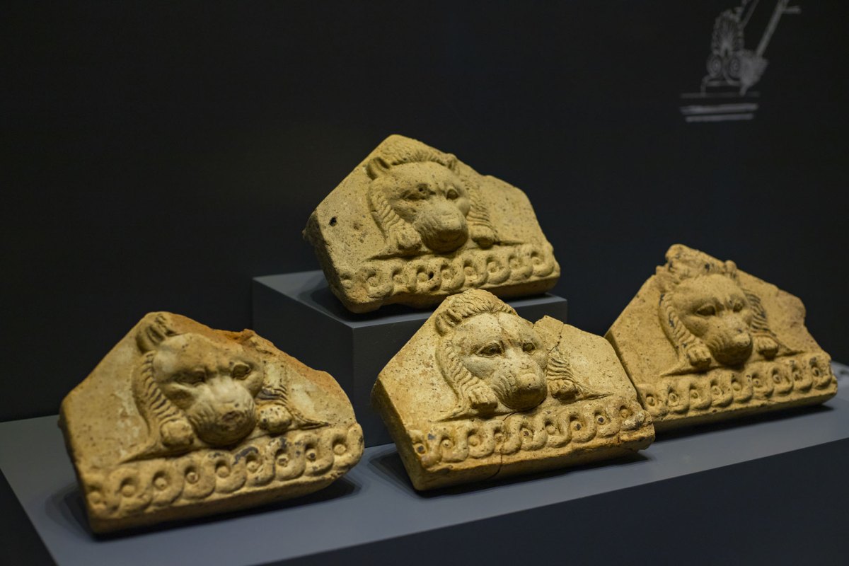 Aydın Archaeology Museum photo 3