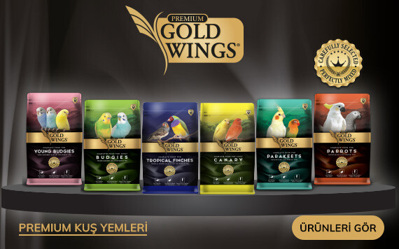 tanıtım