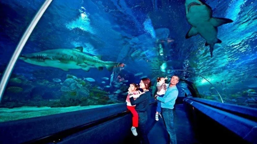 11-Day Family Aegean & Mediterranean Tour (Group Tour): Istanbul, Kuşadası, Pamukkale & Marmaris — photo 4