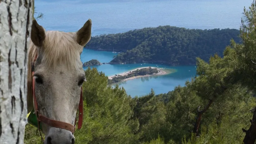 14-Day Bodrum, Fethiye Blue Cruise, Olympos & Cappadocia Tour — photo 4
