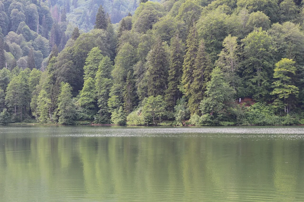 2 Days Macahel Tour from Trabzon: Borcka Karagol, Camili Village & Maral Waterfall Group Tour — photo 3