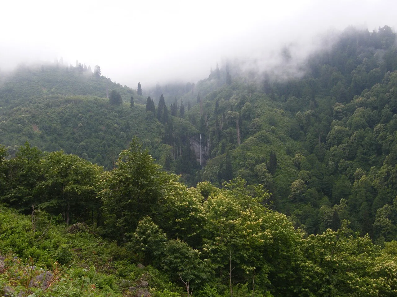 2 Days Macahel Tour from Trabzon: Borcka Karagol, Camili Village & Maral Waterfall Group Tour — photo 4