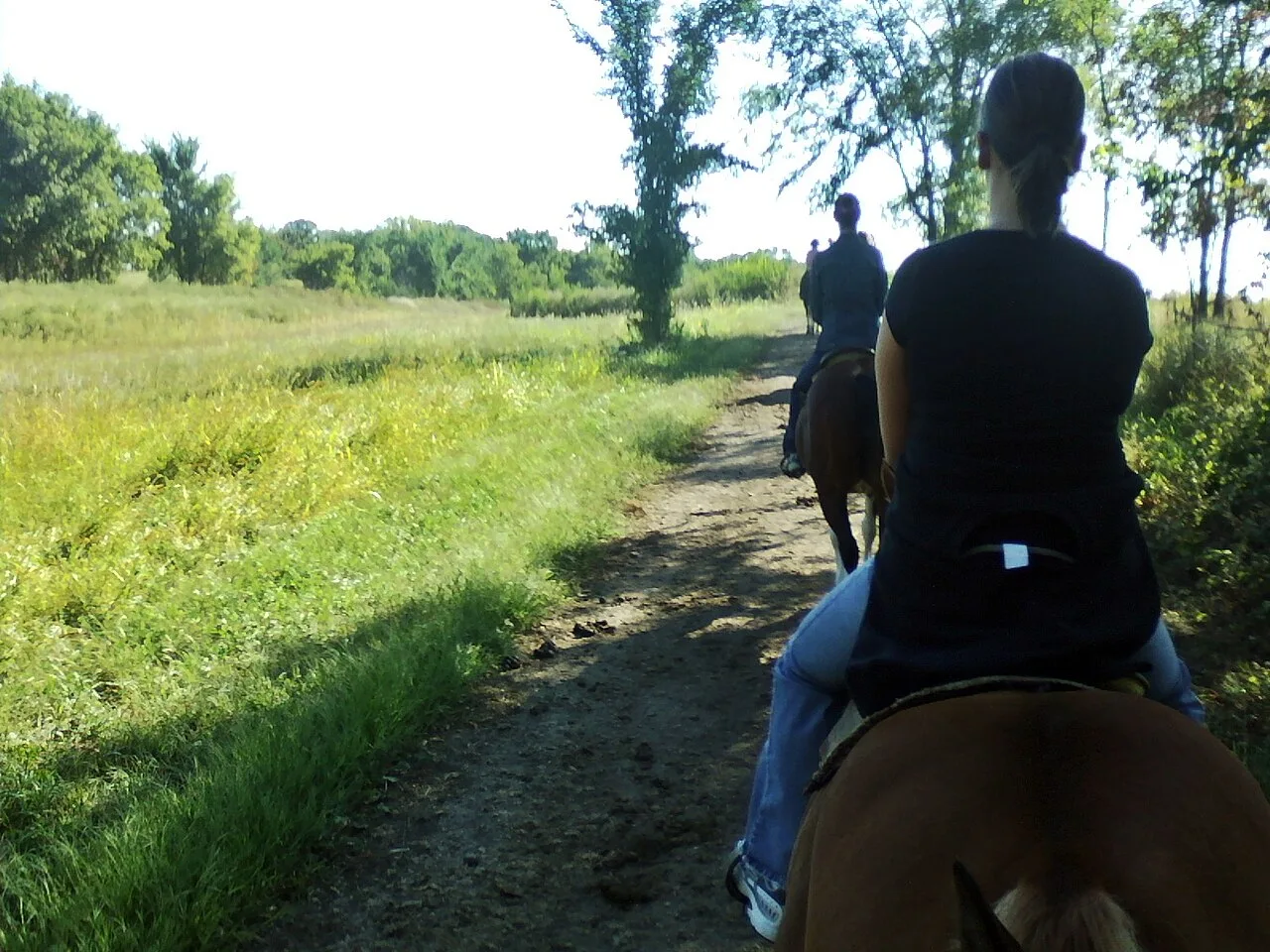 3 Days Bodrum Horse Riding Short Break: Pine Forest Ride & River Swim Private Tour β photo 2