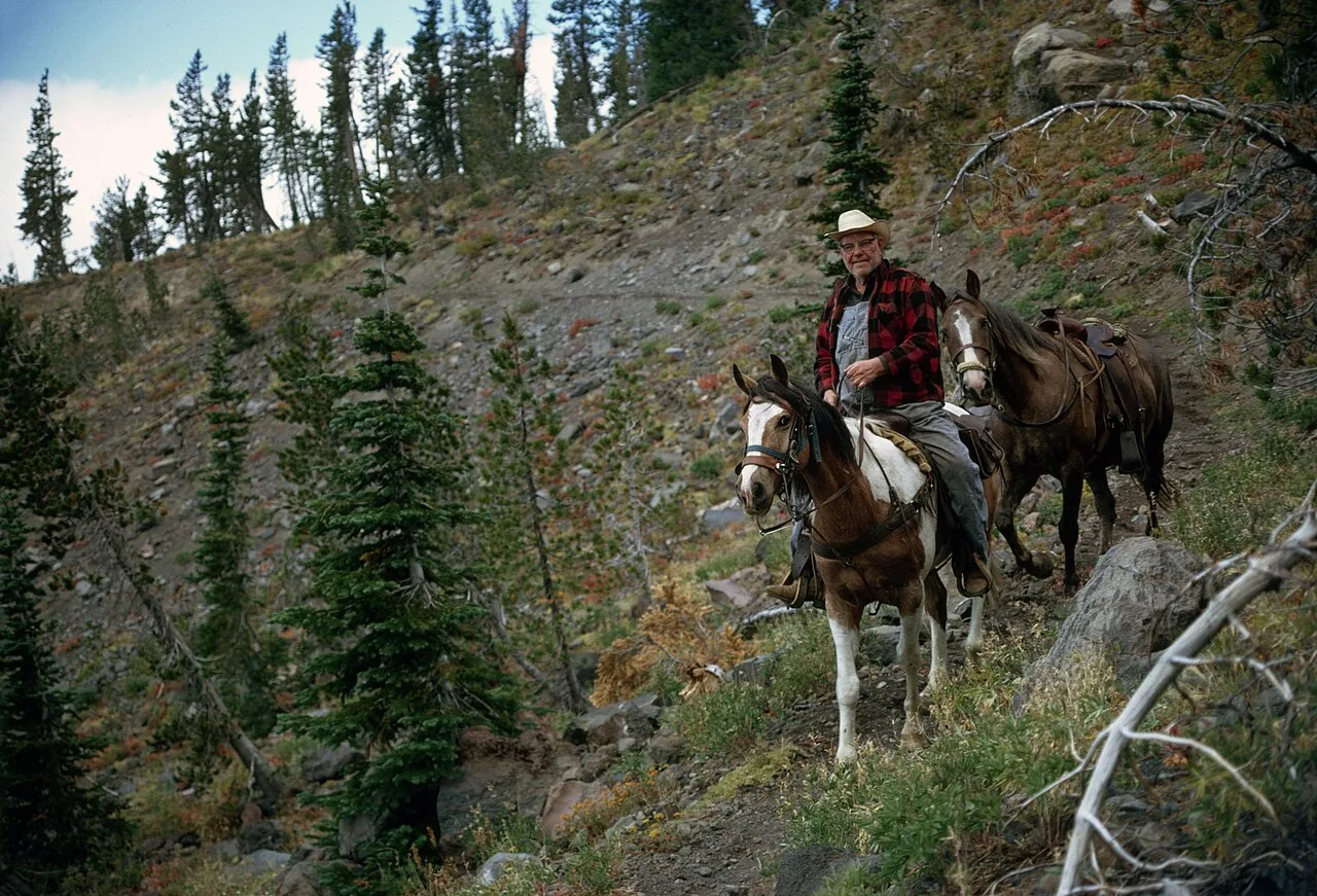 3 Days Bodrum Horse Riding Short Break: Pine Forest Ride & River Swim Private Tour β photo 3