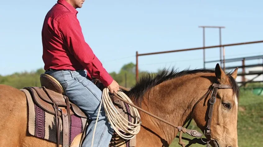 3 Days Bodrum Horse Riding Short Break: Pine Forest Ride & River Swim Private Tour β photo 9