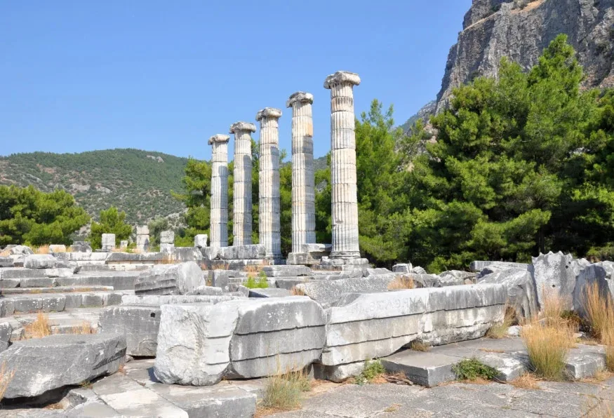 3 Days Didim City Tour: Priene, Miletos, and Didyma Ancient Sites Private Tour — photo 3