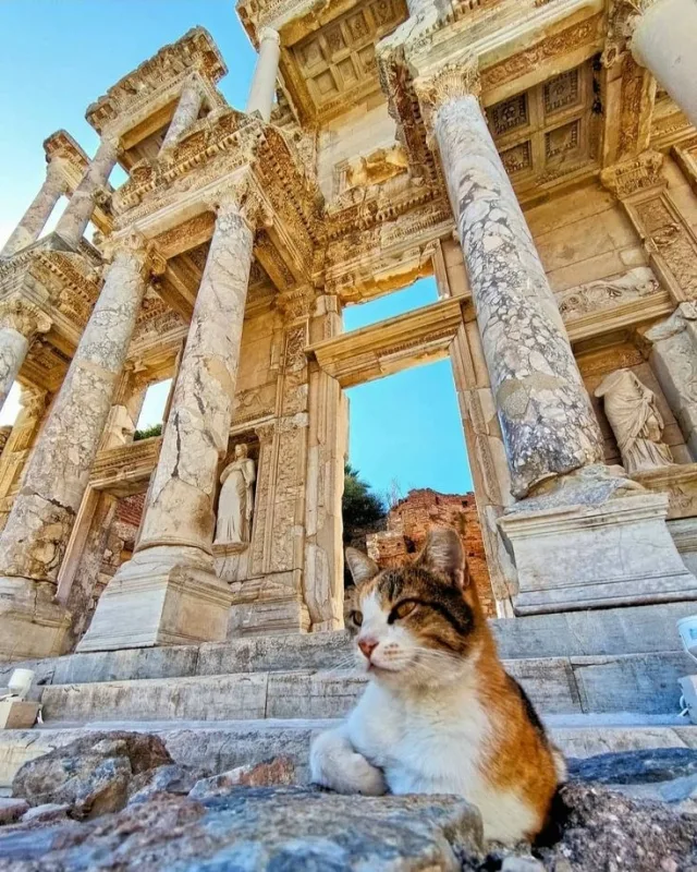 3-Day Ephesus, Pamukkale & Didyma Tour from Istanbul by Flight