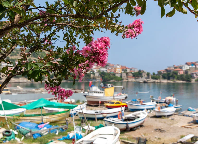 4 Days 3 Nights Bartin & Amasra Cooking Tour Private Tour — photo 8