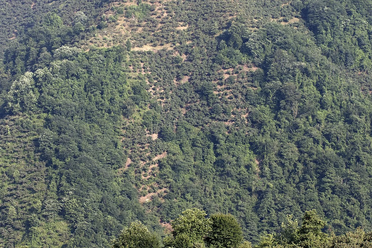 4 Days Giresun Hazelnut City & Cooking Tour: Castles, Ordu and Local Cuisine Private Tour — photo 9