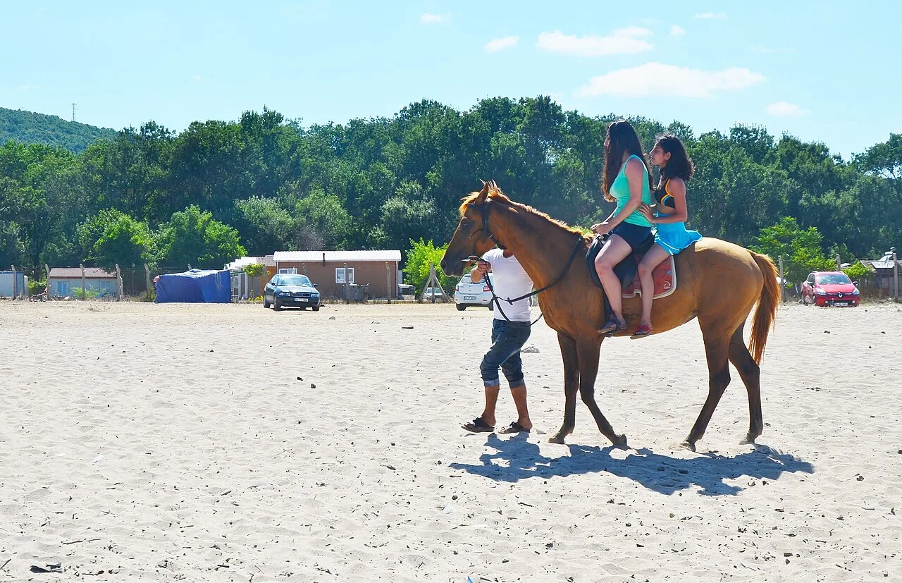 4 Days Istanbul Horse Riding Package: Two Countryside Rides from the City Private Tour β photo 1