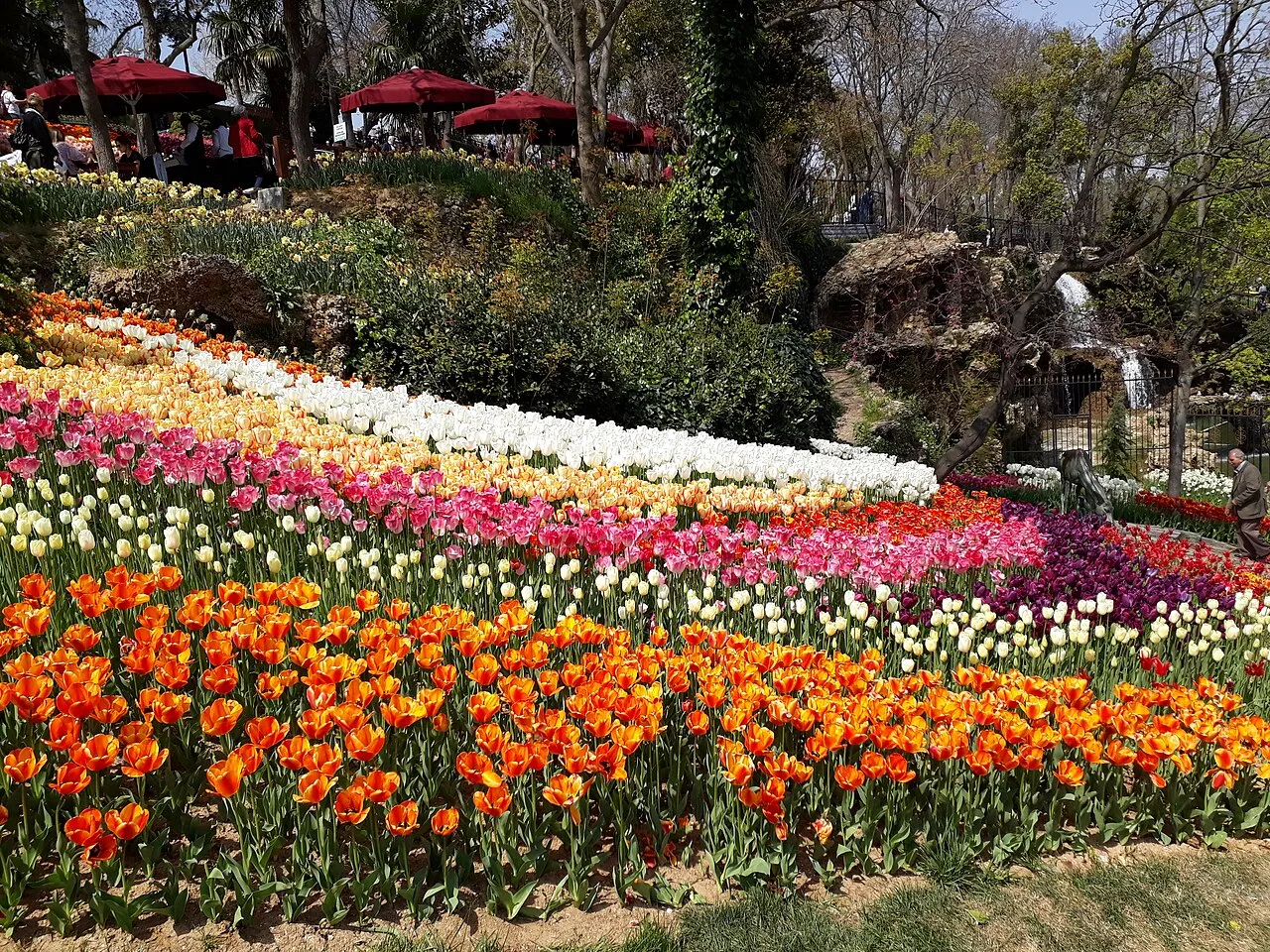 4 Days Istanbul Tour: Topkapi Palace, Emirgan Park & Bosphorus Dinner Cruise (Group Tour) β photo 2