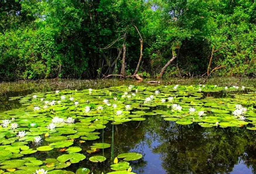 4 Days Kirklareli & Igneada Trekking Tour Private Tour — photo 2
