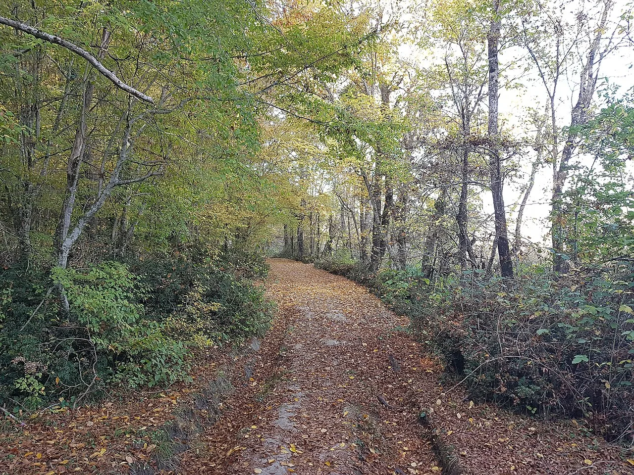4 Days Kirklareli & Igneada Trekking Tour Private Tour — photo 9