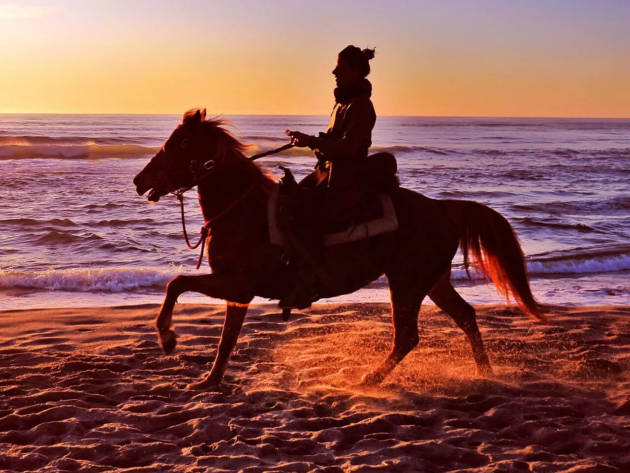 5 Days Istanbul Horse Riding Adventure: Three Riding Days Outside the City Private Tour — photo 4
