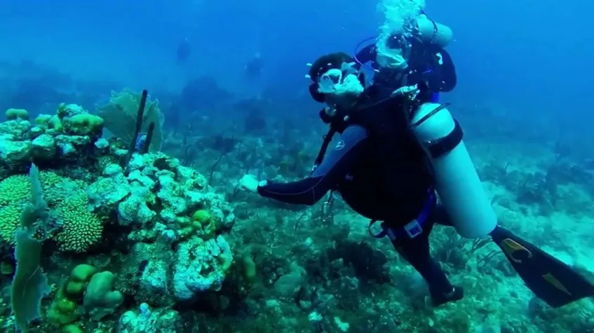 5 Days Istanbul Scuba Diving Course & Old City Tour Private Tour — photo 1