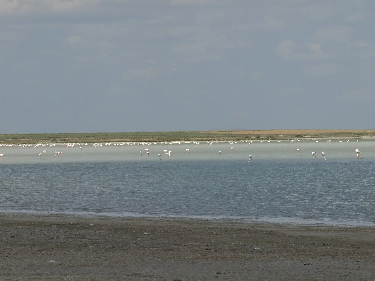 5 Days Kirsehir City, Cooking & Hamam Tour: Kalehoyuk, Mucur and Seyfe Lake Private Tour — photo 7
