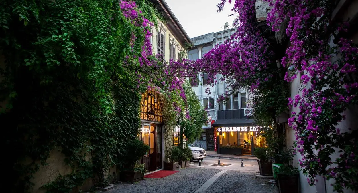 5 Days Southern Turkey Tour: Adana, Antakya, Tarsus & Mersin Heritage Private Tour β photo 2