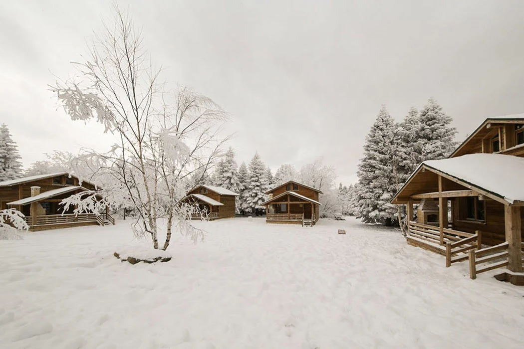5 Days Winterland Skiing in Istanbul and Uludag Private Tour — photo 4