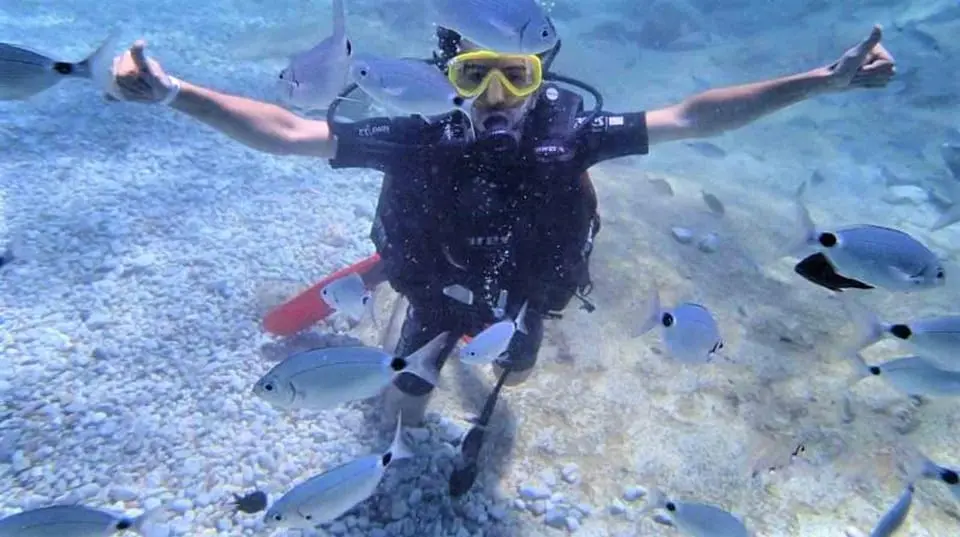 Diving Tour