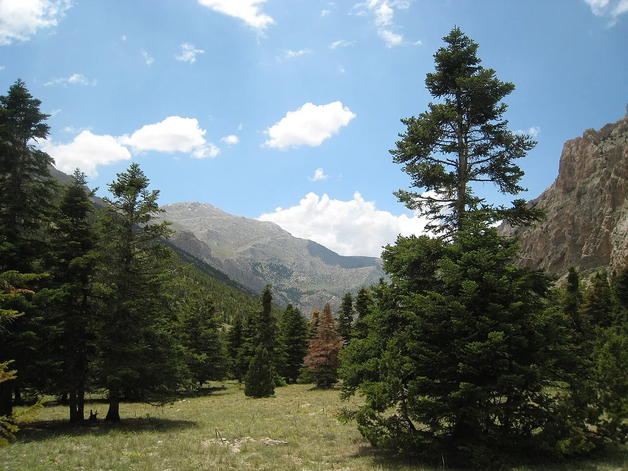 6 Days 5 Nights Hunting Adventure in Antalya Private Tour — photo 10