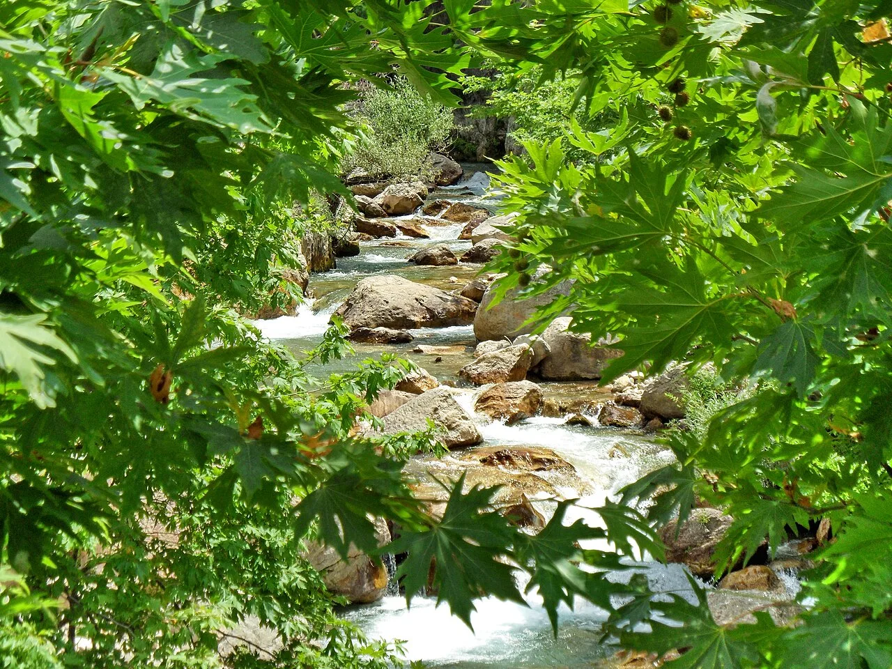 6 Days Bezoar Ibex Hunting Package in Anamur with Antalya Airport Transfers Private Tour — photo 10