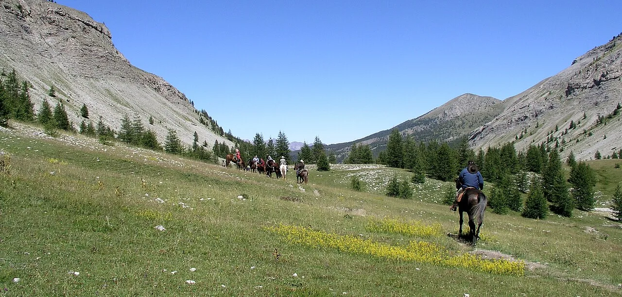 6 Days Bodrum Riding & Relaxing Package: Two Horse Rides with Free Days Between Private Tour β photo 6