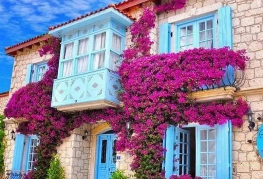 6 Days Cesme, Alacati & Ephesus Culinary Tour with Sirince (Private Tour) β photo 12