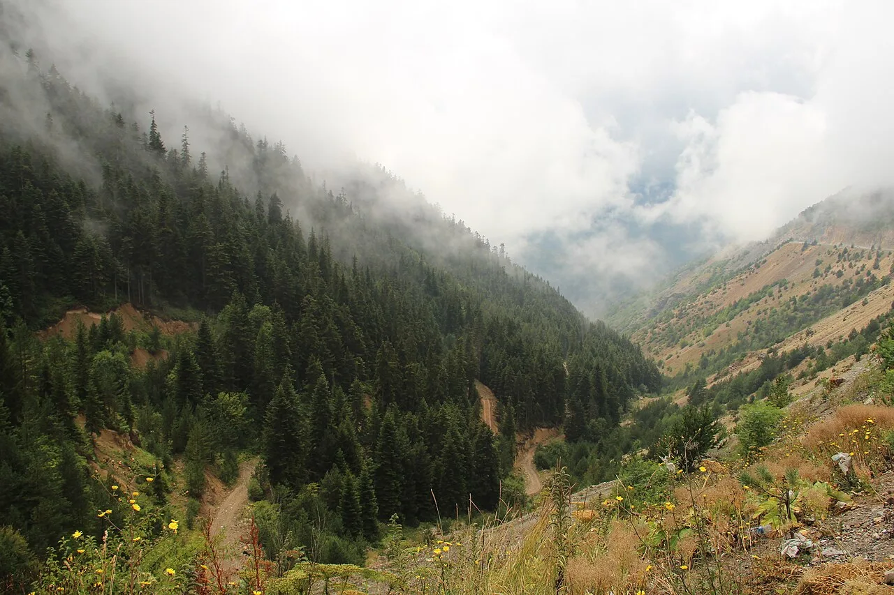 6 Days Giresun Tour: Black Sea Castles, Cooking Class, Hamam and Sumela Monastery Private Tour — photo 9