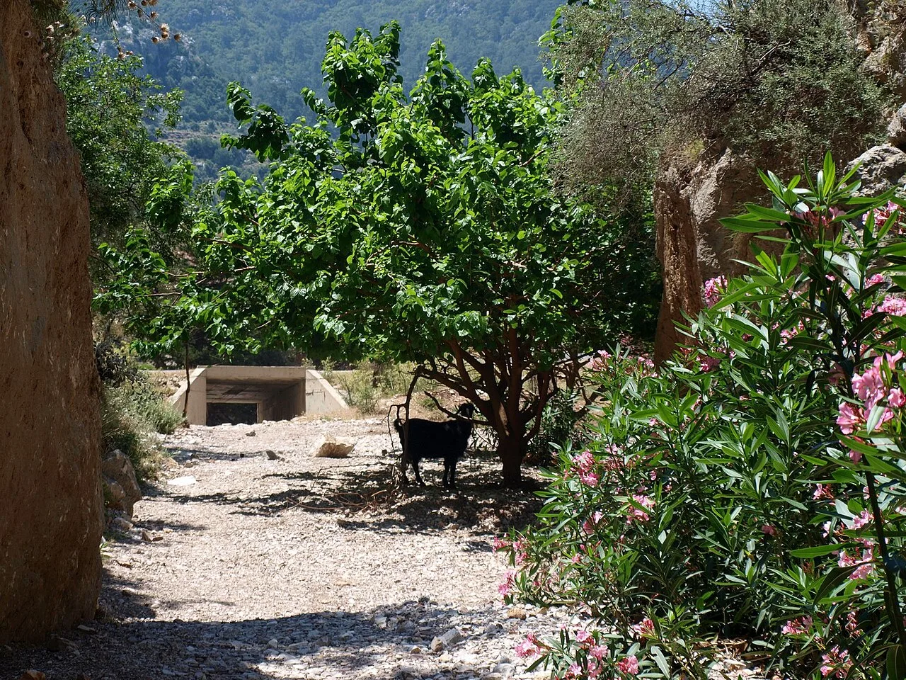6 Days Western Lycian Way Trek: Ovacik, Faralya, Kabak, Alinca, Sidyma & Gey (Group Tour) — photo 7