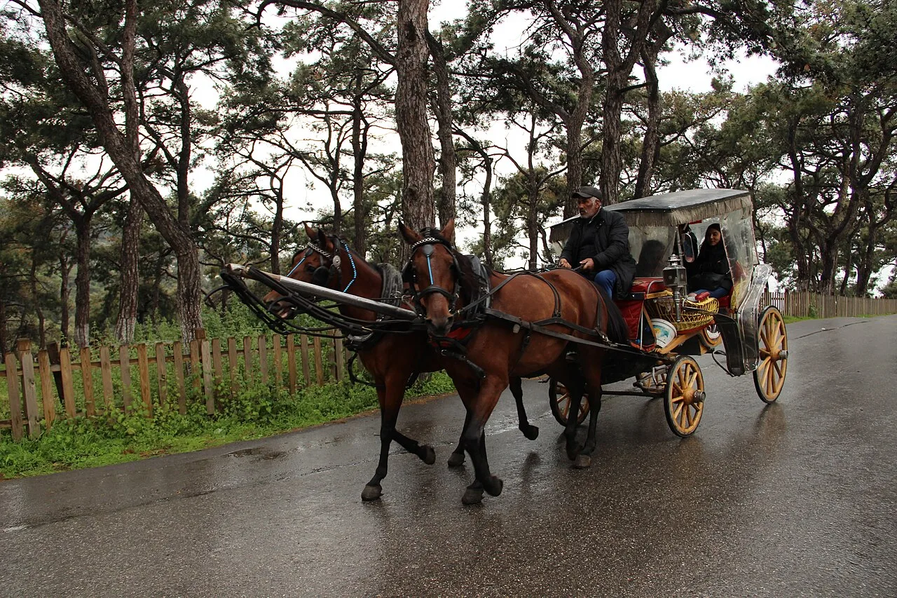 Istanbul & Antalya 7-Day Holiday: History, Beaches & Bosphorus Cruise (Private Tour)