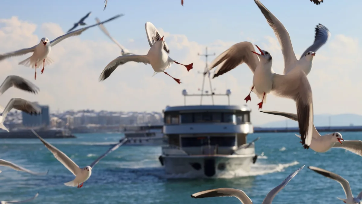 7-Day Special Istanbul City Tour (Private Tour) — photo 3