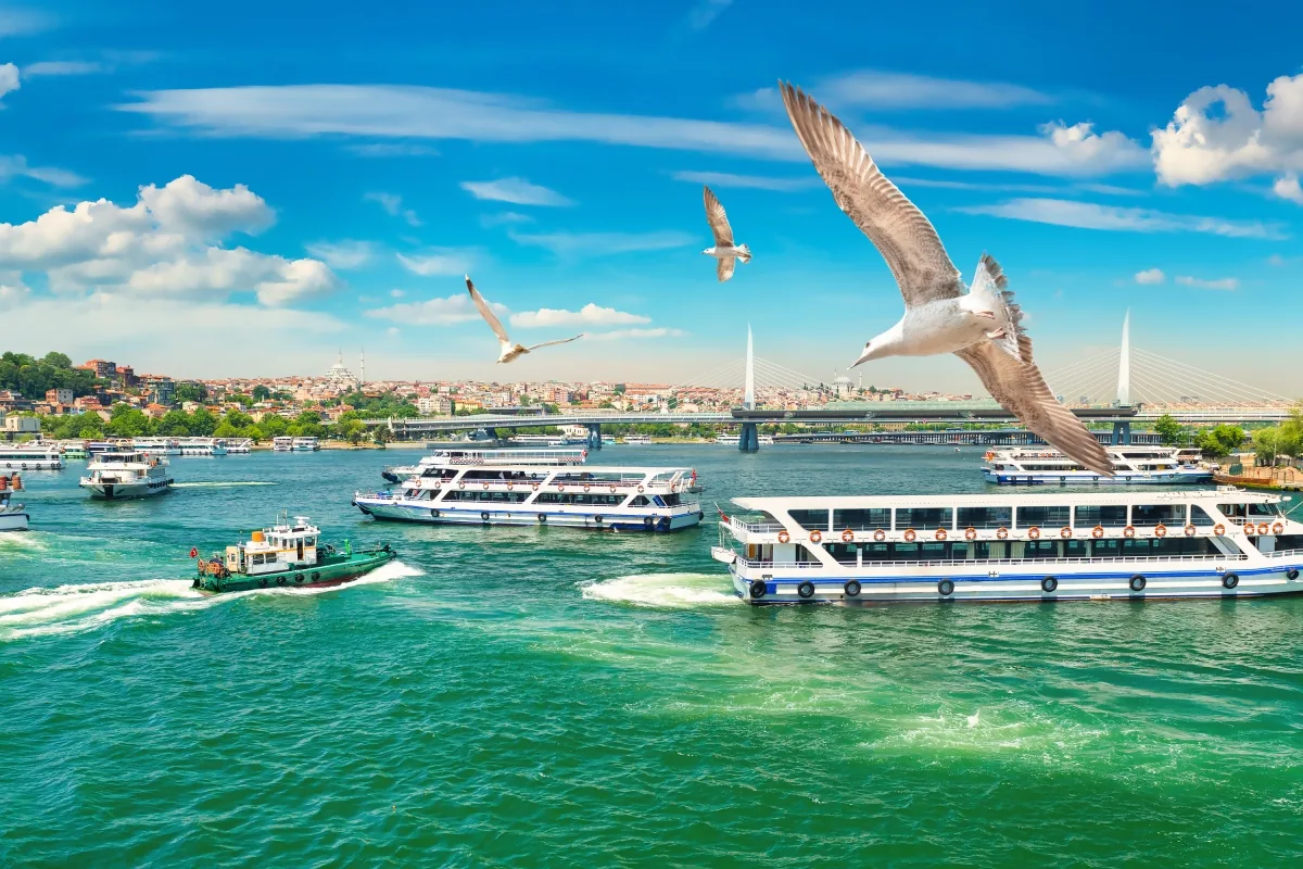 7 Day Turkey Istanbul Cappadocia Bodrum Package (Group Tour) — photo 8