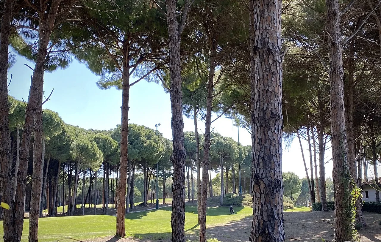 8 Days Adora Golf Resort Belek Package with 6 Rounds of Golf Private Tour — photo 10