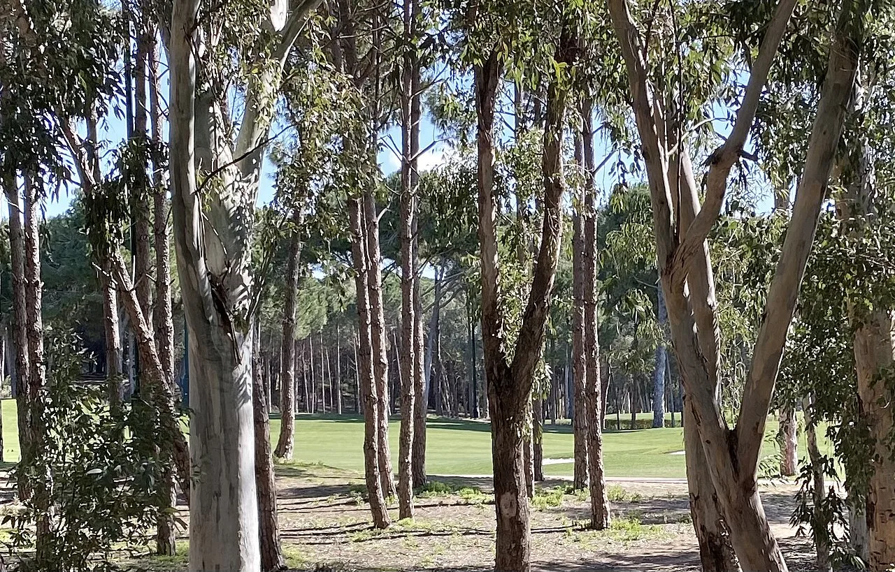 8 Days Cornelia De Luxe Resort Belek Golf Package – Nick Faldo Course Private Tour — photo 9