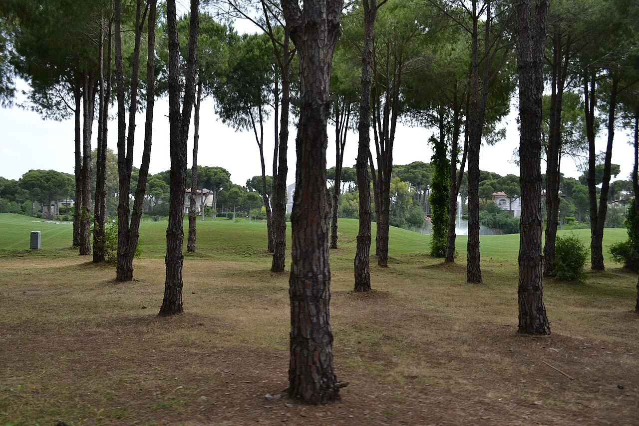 8 Days Maxx Royal Belek Golf Package – Montgomerie Course Private Tour — photo 11