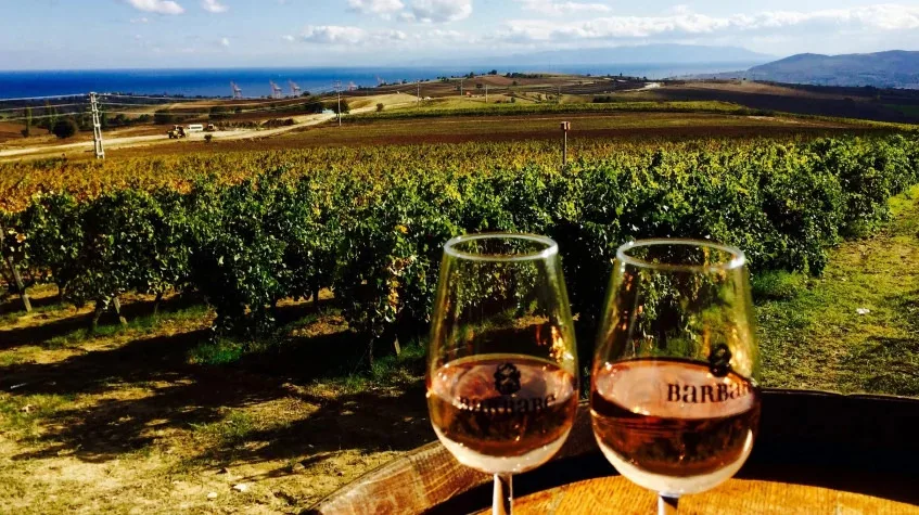 8 Days Turkey Culinary & Wine Exploration: Istanbul, Ephesus, Pamukkale & Cappadocia Private Tour β photo 1